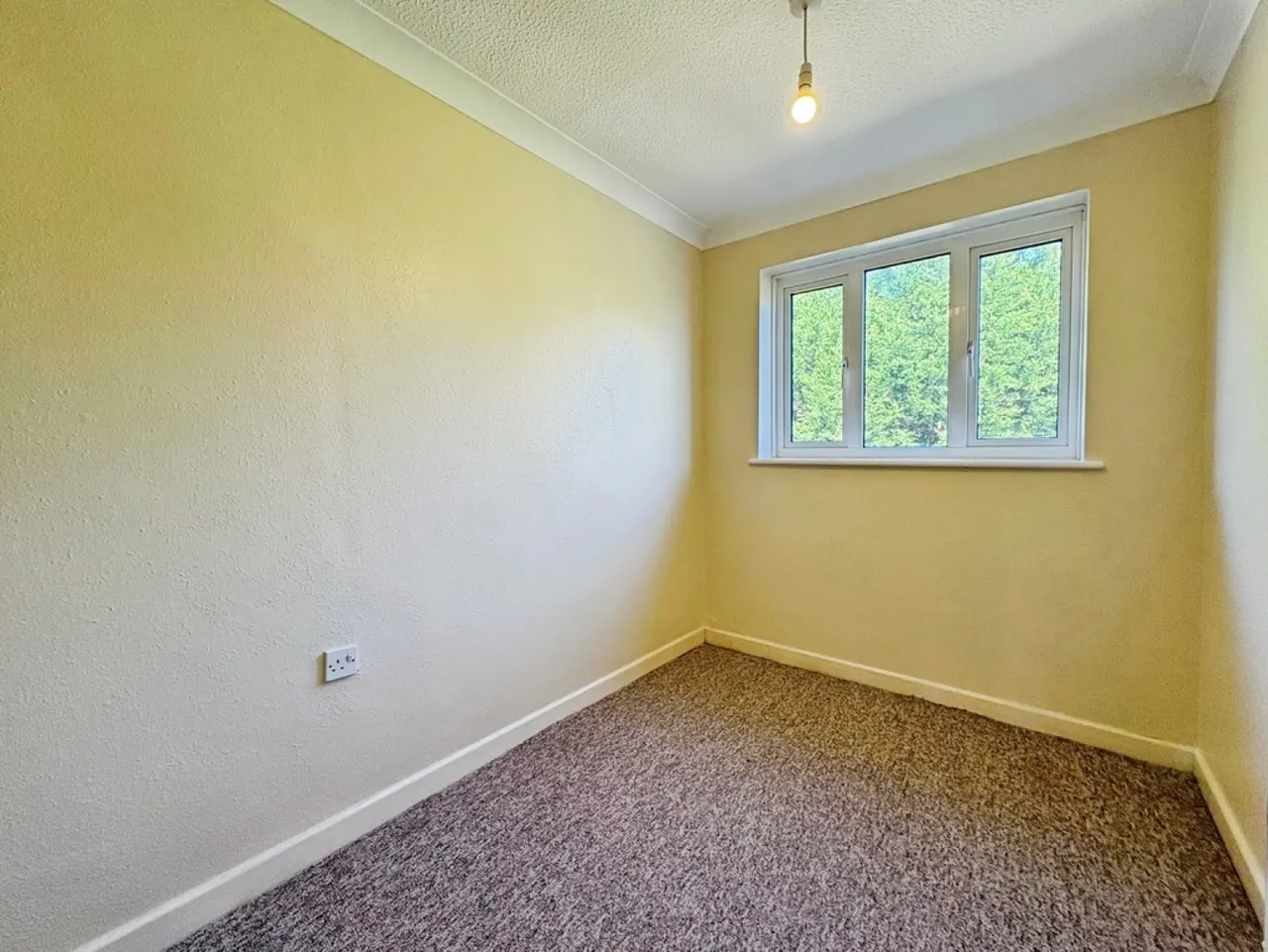 Priory Glade, Yeovil, photo 10
