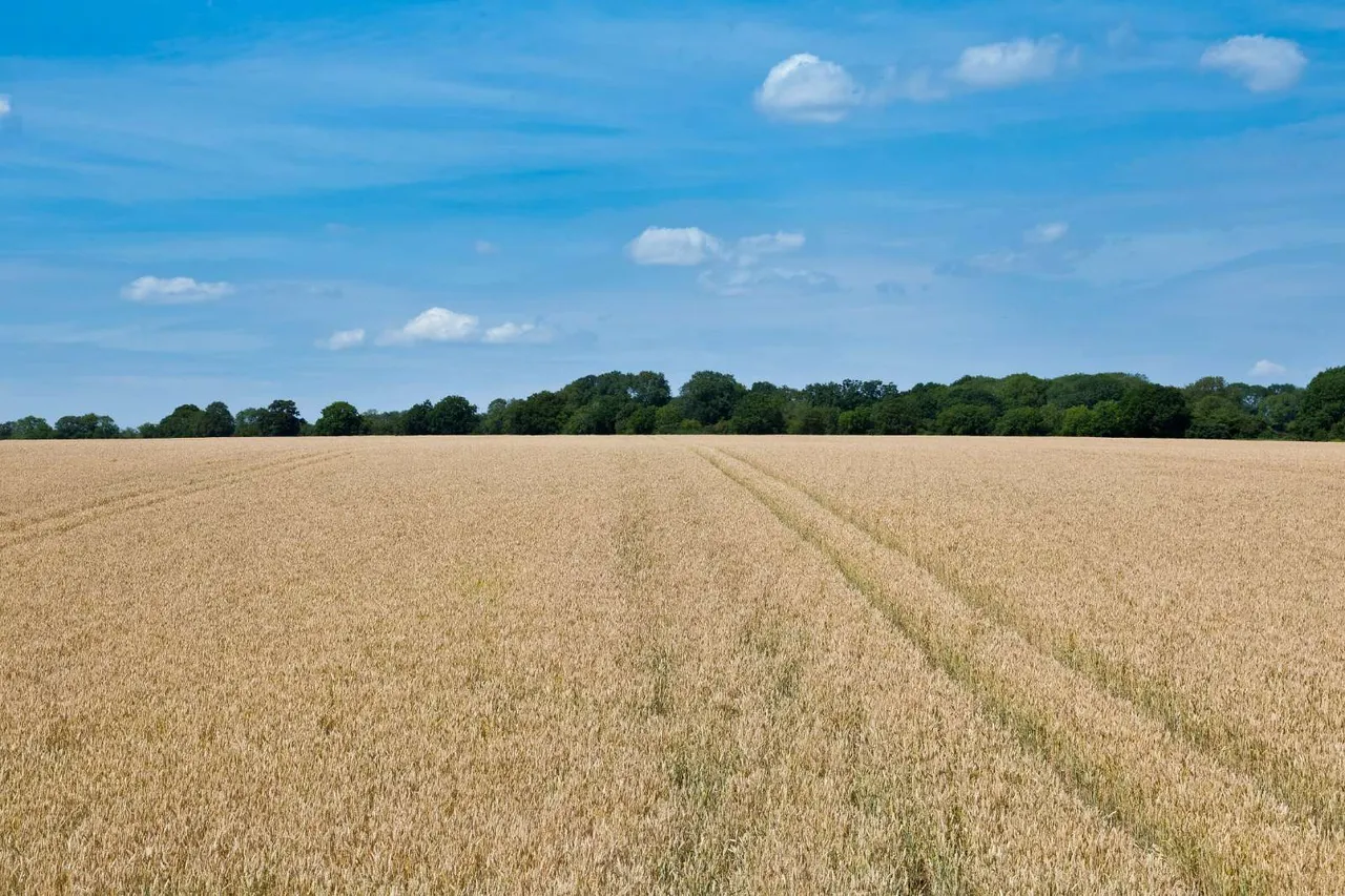 Kingswood Bury Farm, Clothall, Baldock, Hertfordshire, SG7 6RW, photo 7