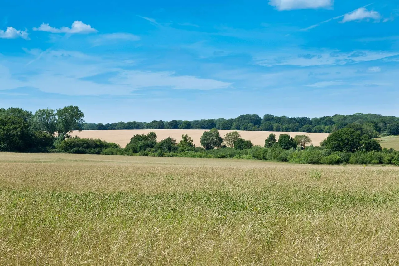 Kingswood Bury Farm, Clothall, Baldock, Hertfordshire, SG7 6RW, photo 12