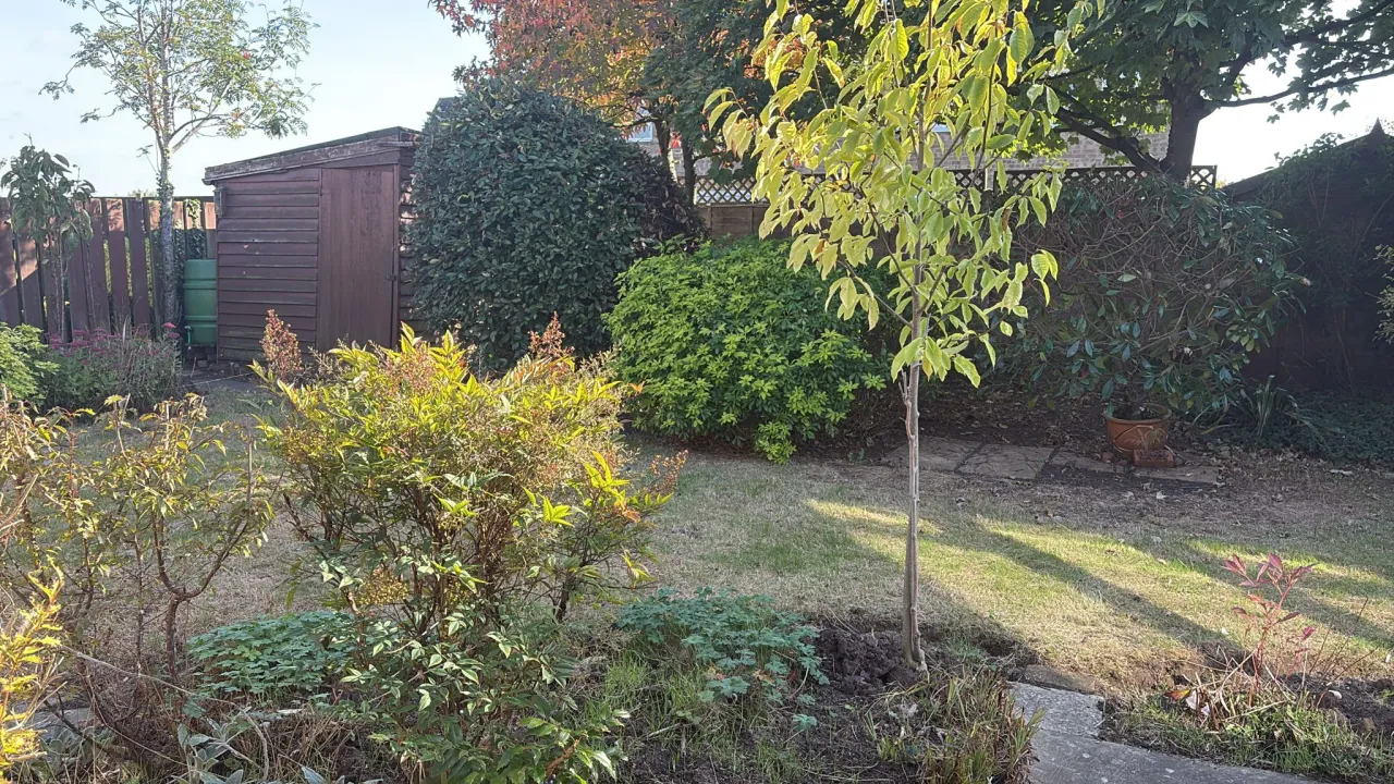 Causeway Close, Brockdish, photo 18
