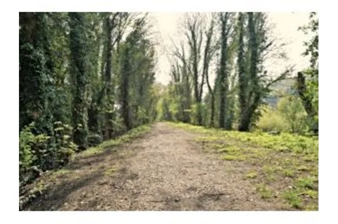 Sierra Road, High Wycombe, HP11, photo 18