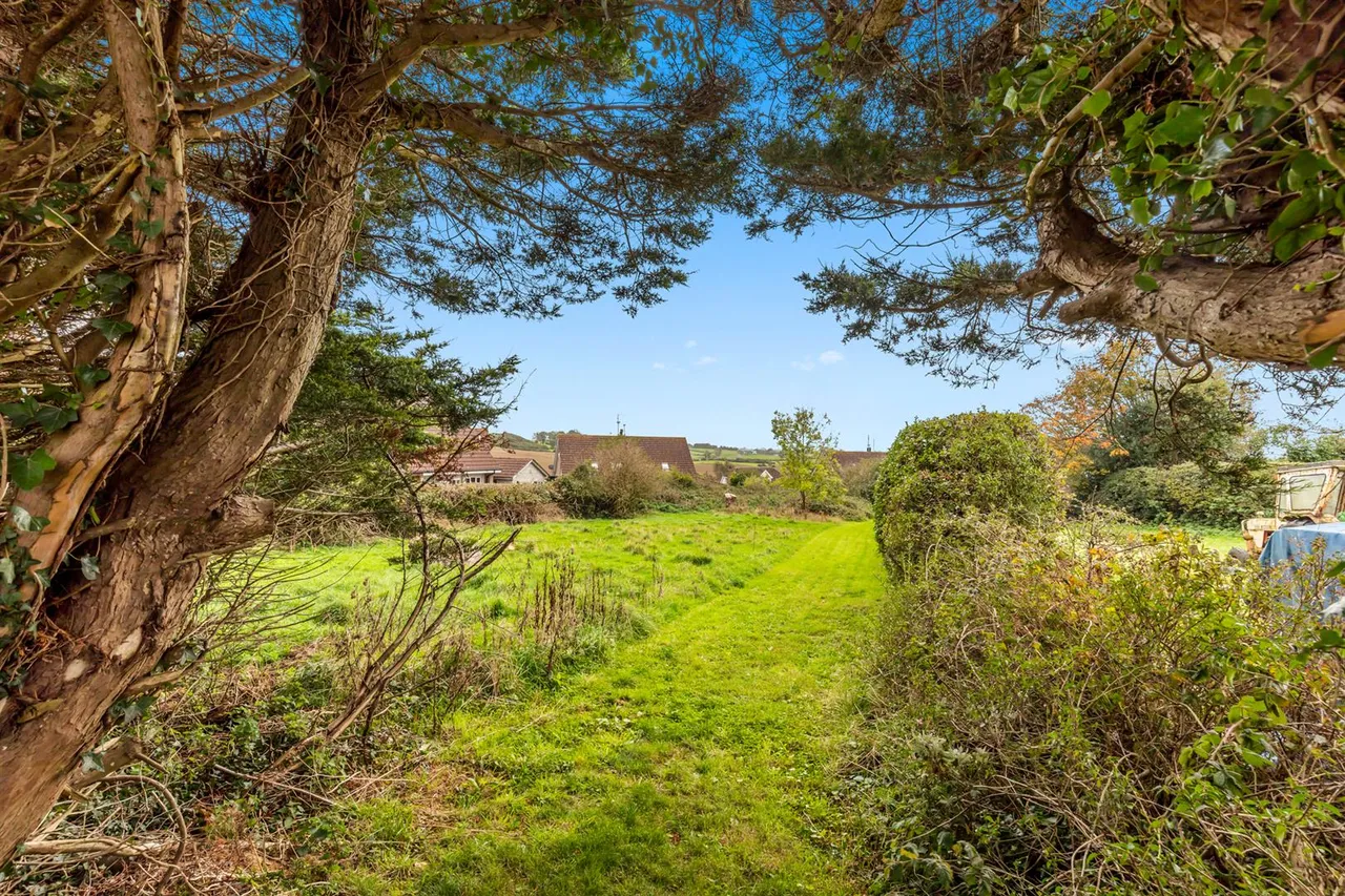 Saul Road, Downpatrick, BT30, photo 20