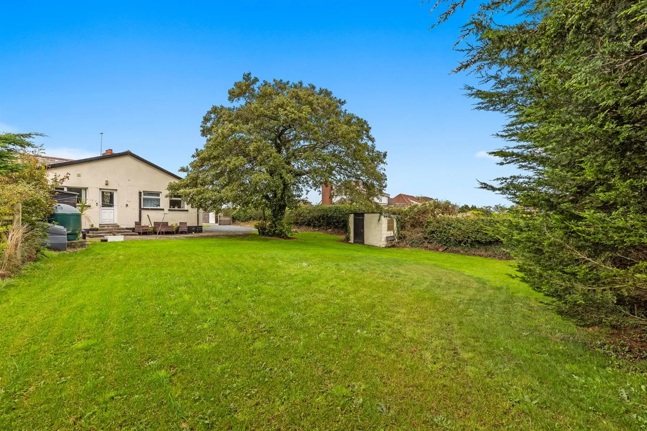Saul Road, Downpatrick, BT30, photo 21