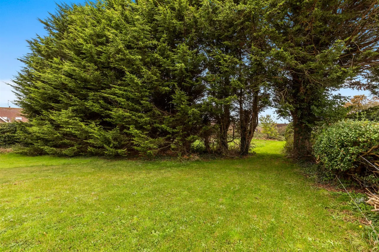 Saul Road, Downpatrick, BT30, photo 19