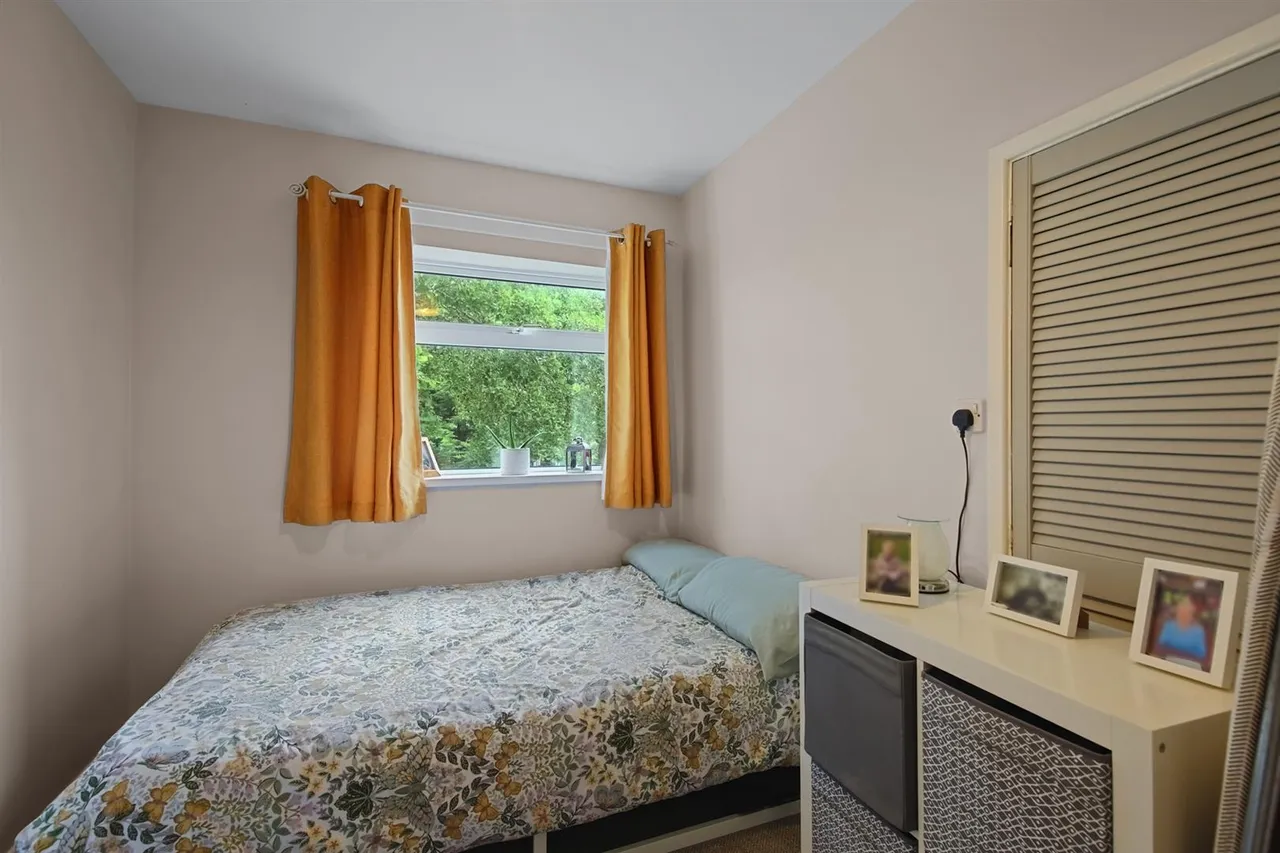 Saul Road, Downpatrick, BT30, photo 16