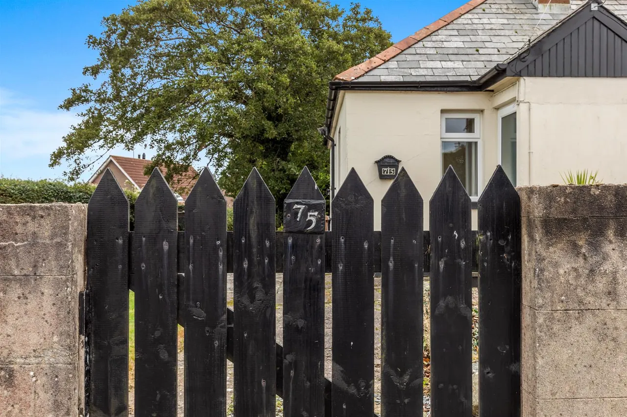 Saul Road, Downpatrick, BT30, photo 24