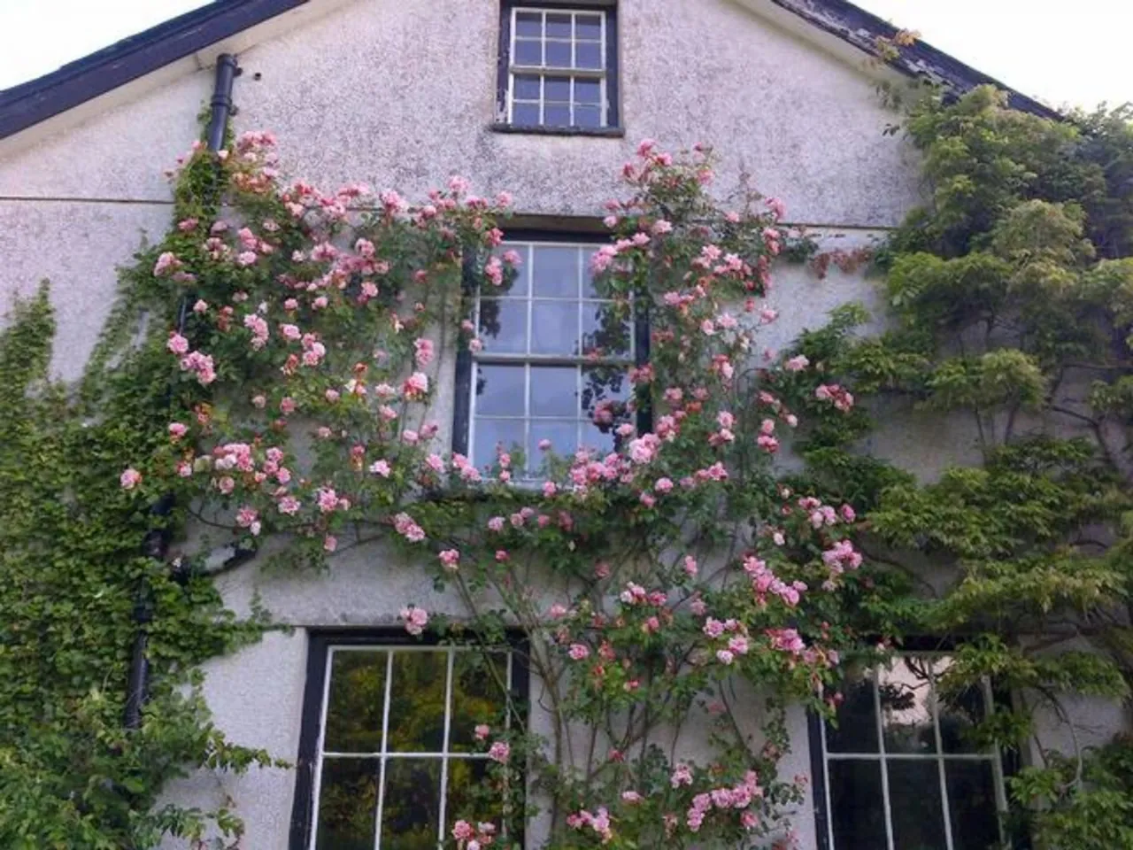 Plas Wenallt, Llanafan, SY23, photo 44