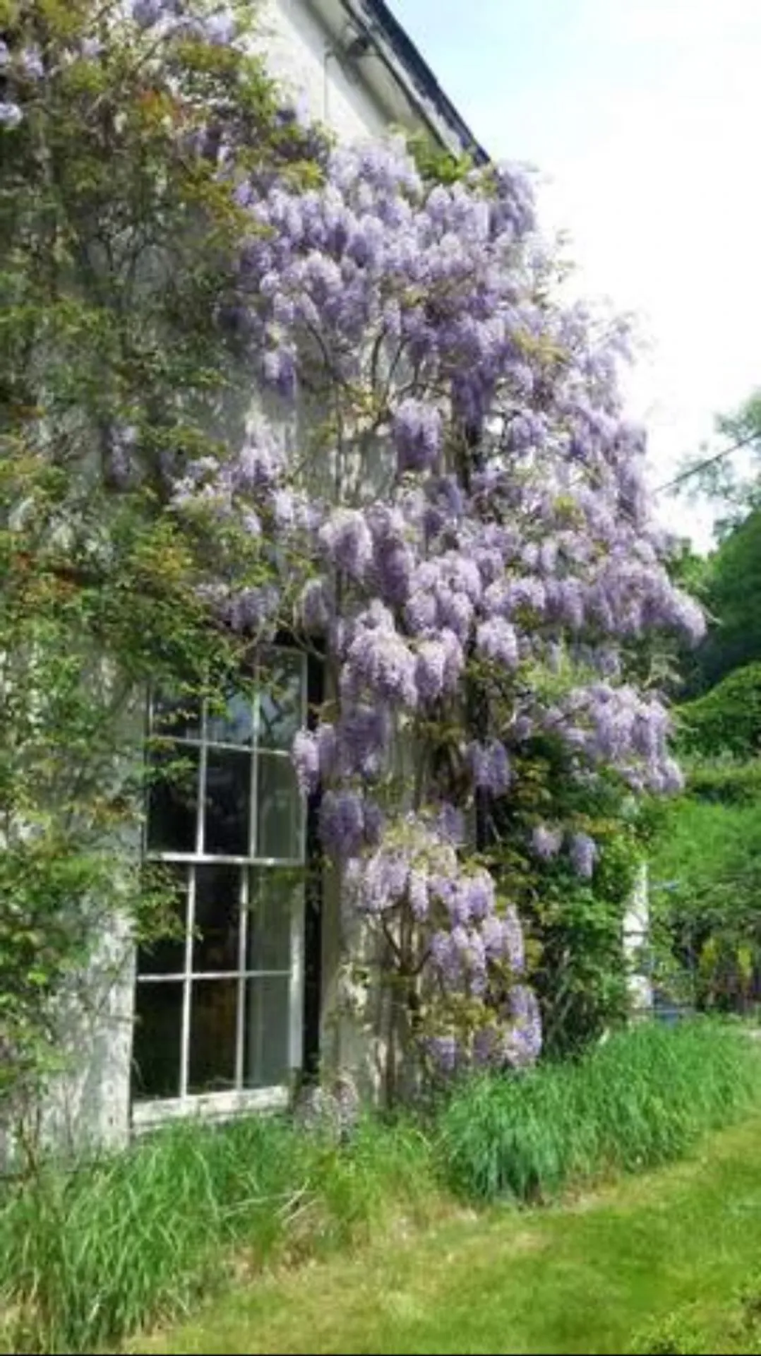 Plas Wenallt, Llanafan, SY23, photo 43