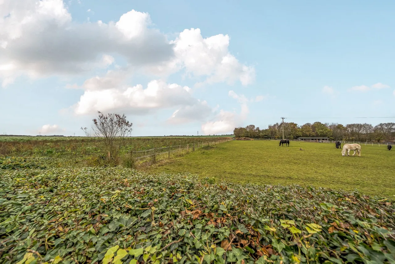 Plumstone Road, Acol, photo 17
