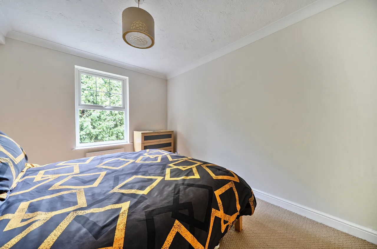 Portsmouth Road, Camberley, GU15, photo 10