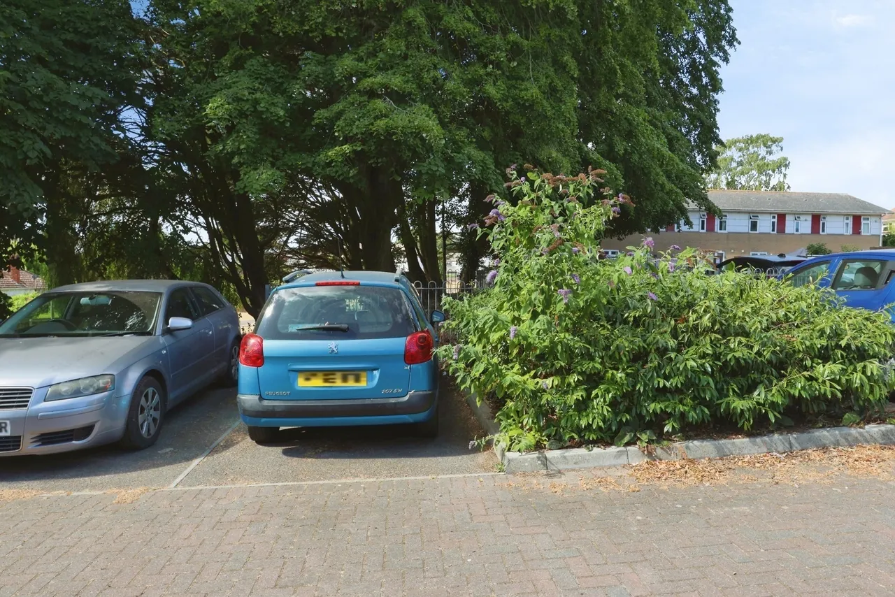 Bartlett Way, Poole, BH12, photo 15