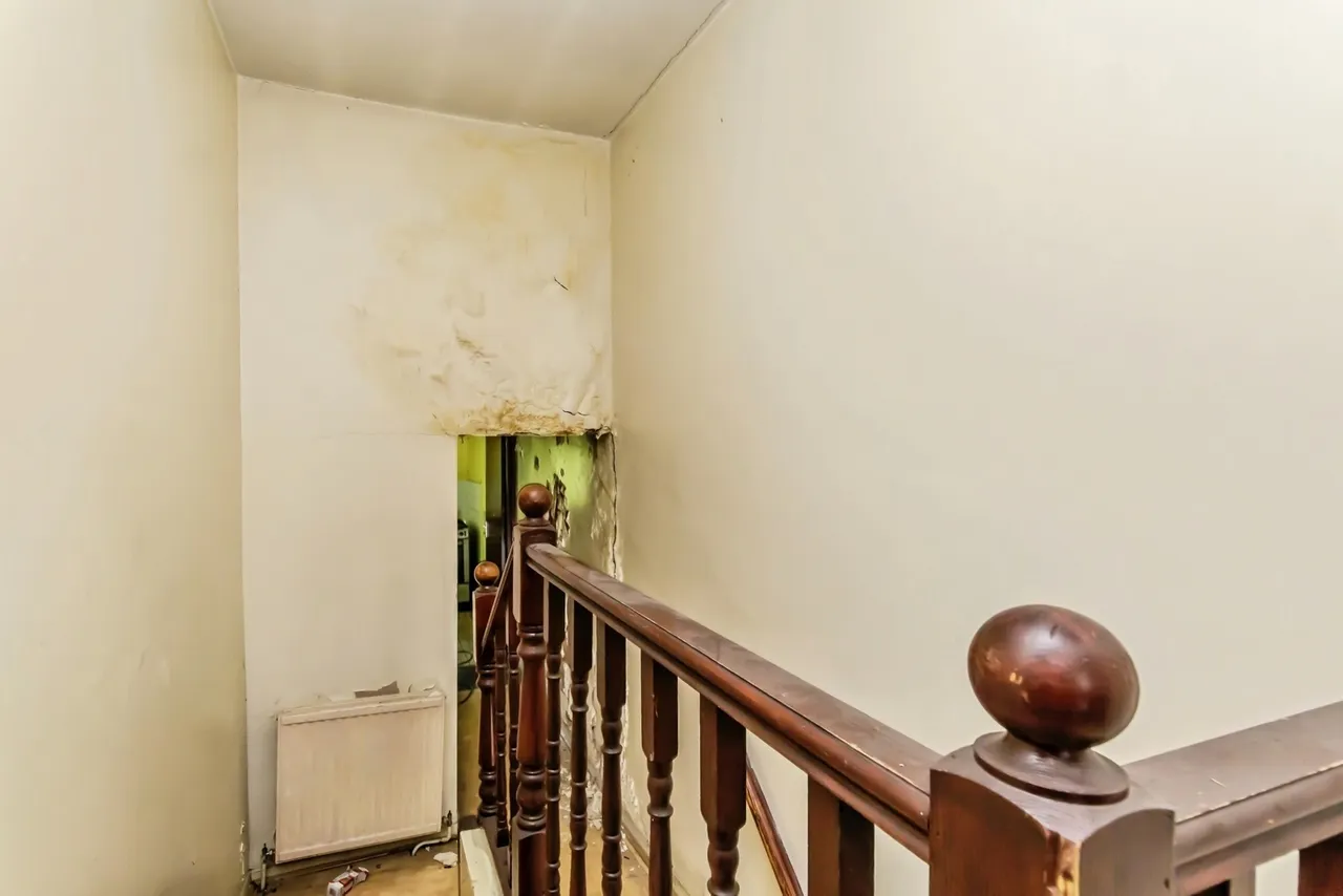 Malpas Road, London, SE4, photo 16