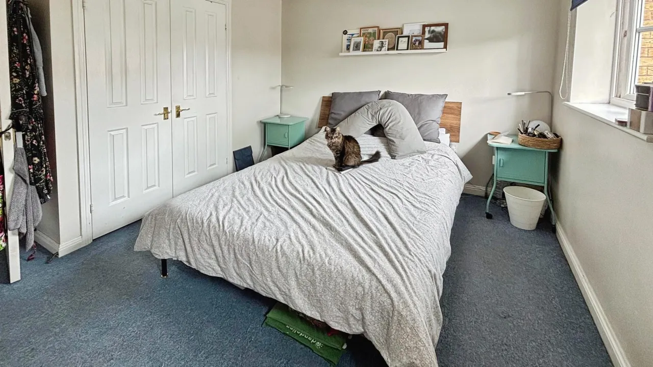 Packhorse Drive, Enderby, LE19, photo 6