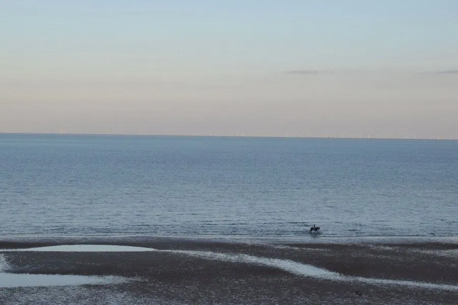 Southcliff Parade, Walton on the Naze, CO14, photo 21