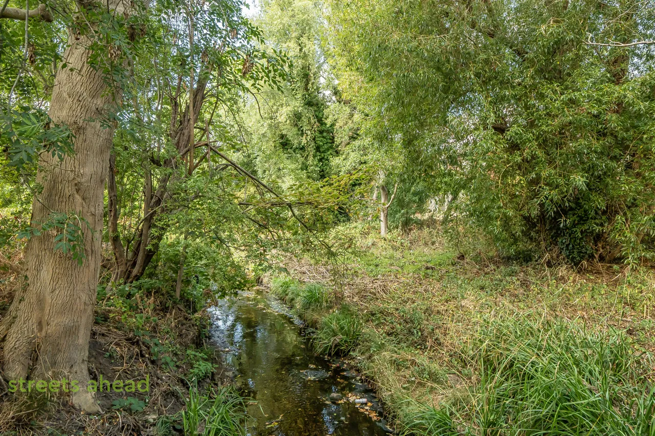 Derwent Road, London, SW20, photo 18