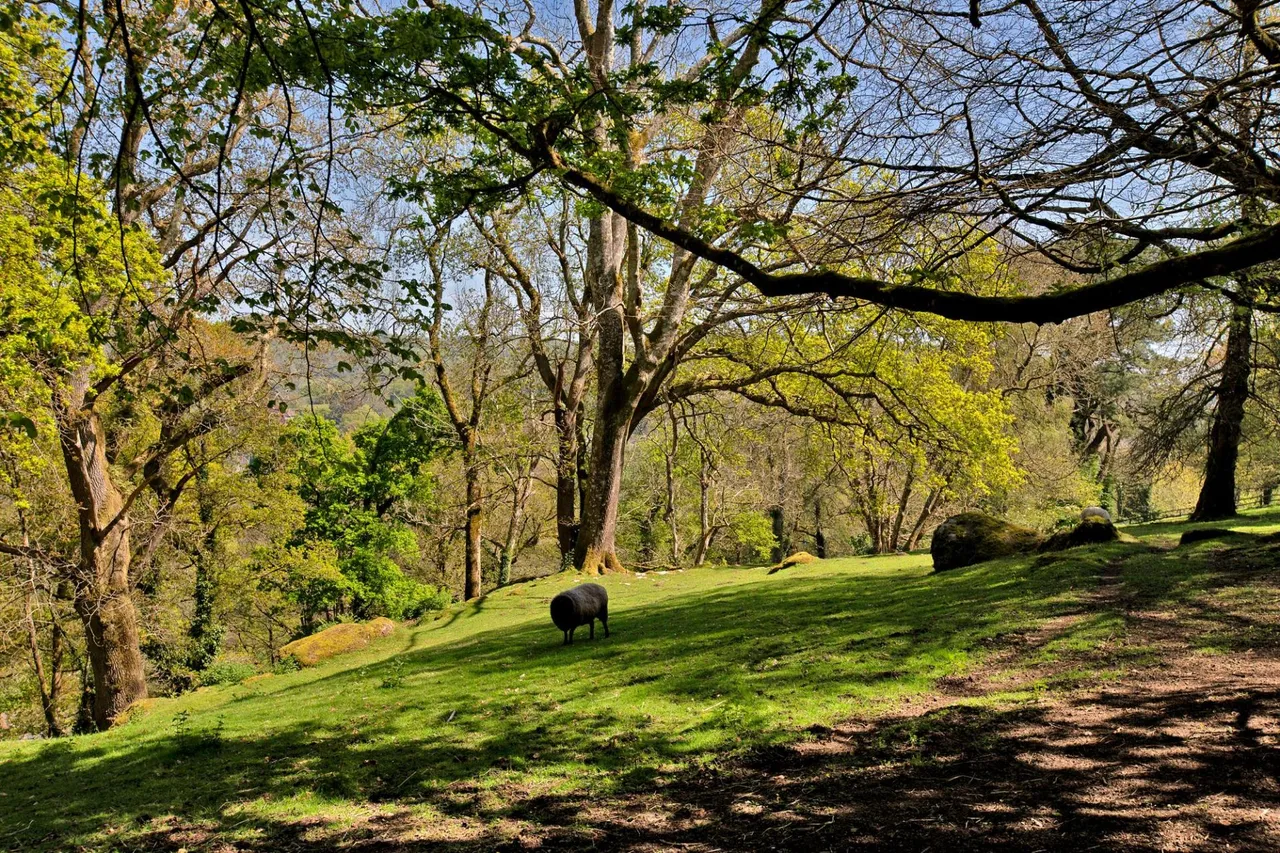 Lustleigh, Newton Abbot, TQ13, photo 29