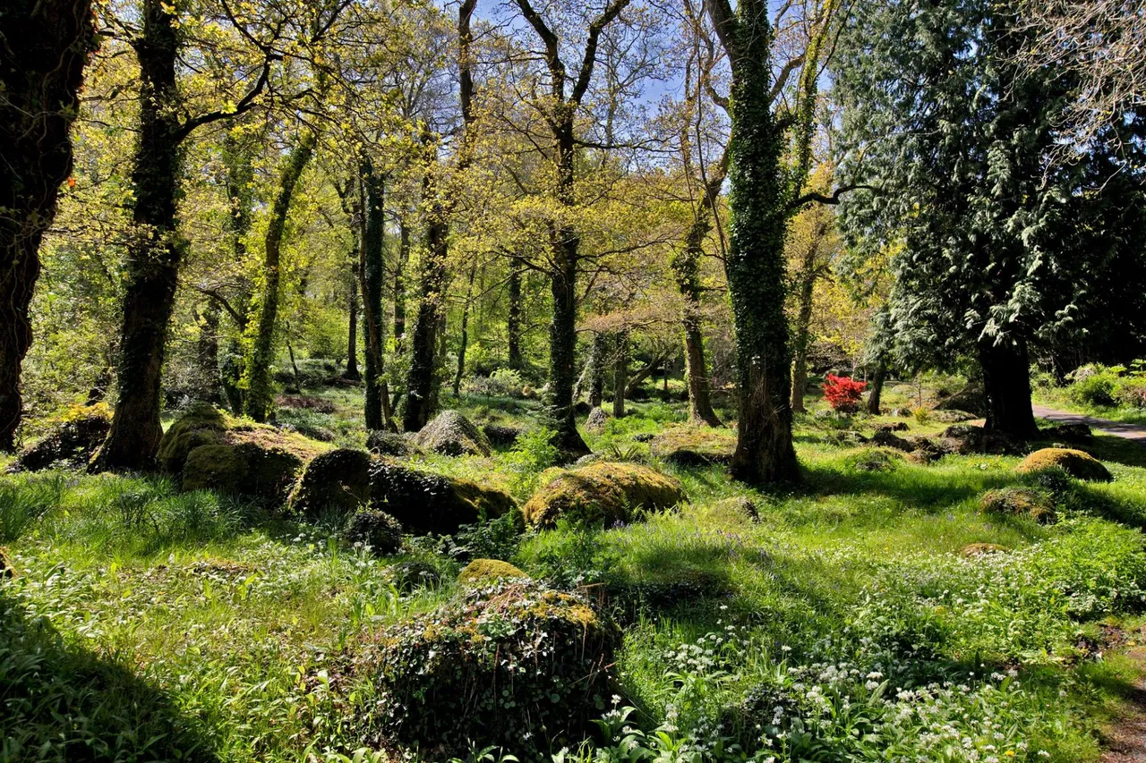 Lustleigh, Newton Abbot, TQ13, photo 36