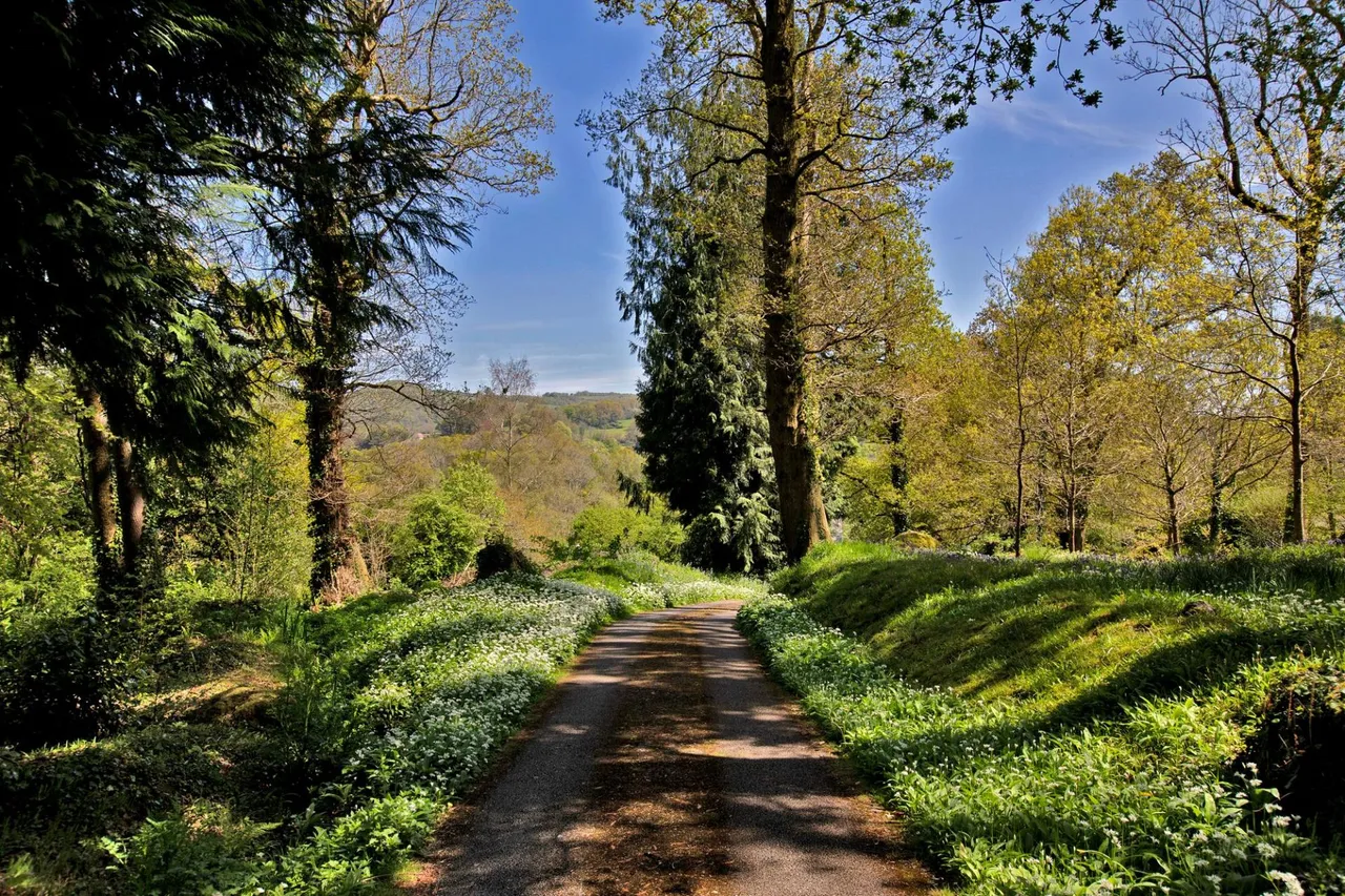 Lustleigh, Newton Abbot, TQ13, photo 37