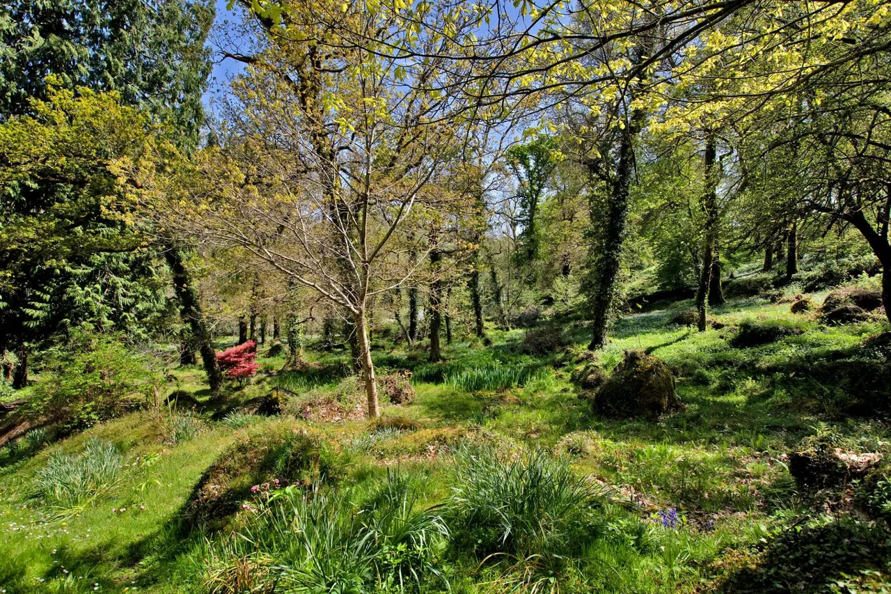 Lustleigh, Newton Abbot, TQ13, photo 30