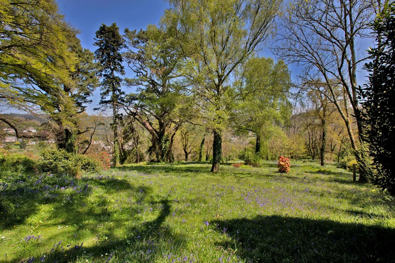 Lustleigh, Newton Abbot, TQ13, photo 28
