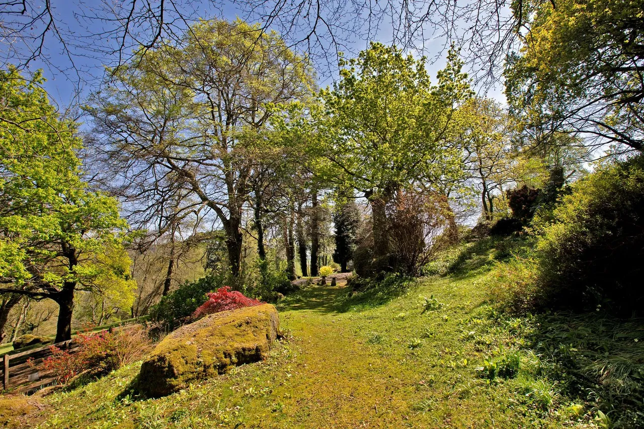 Lustleigh, Newton Abbot, TQ13, photo 23