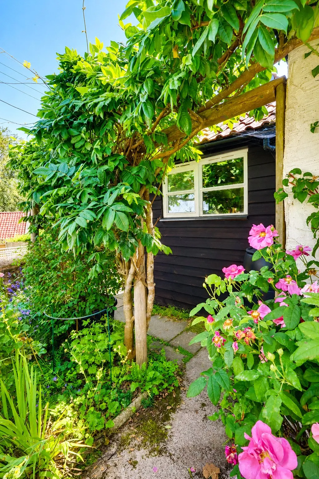 Hill Street, Stogumber, TA4, photo 19