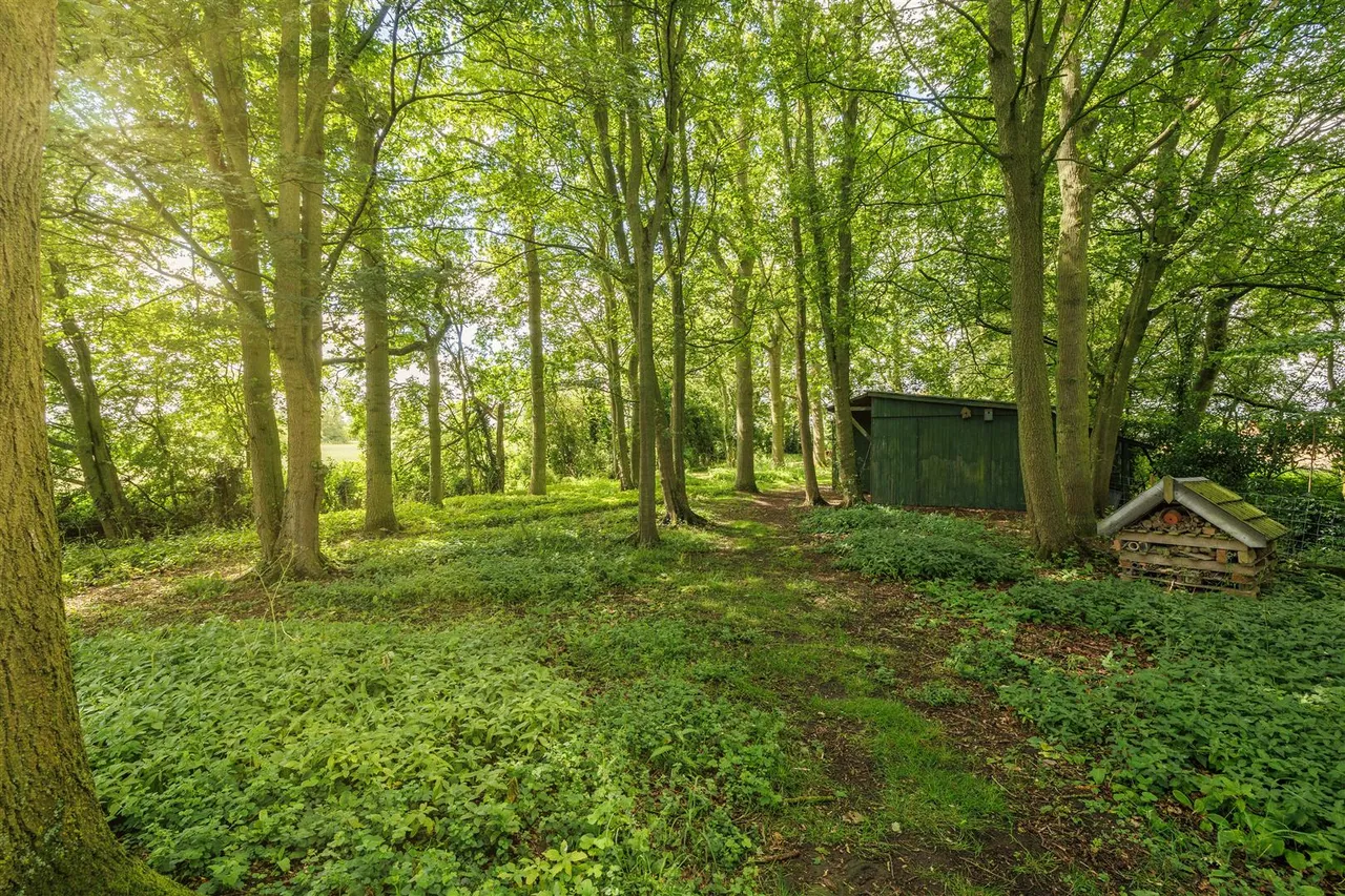 Tooks Common Lane, Ilketshall St. Andrew, NR34, photo 24