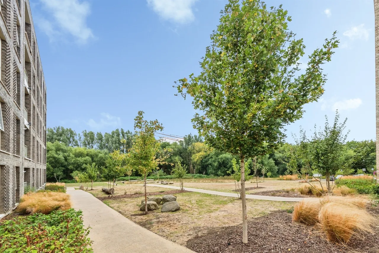 Daly Close, Littlemore, OX4, photo 17