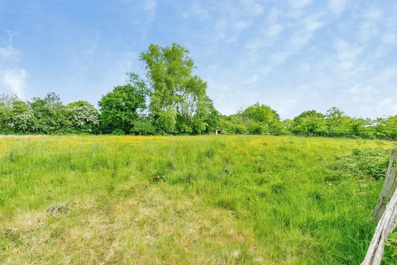 Main Road, Hadlow Down, TN22, photo 6