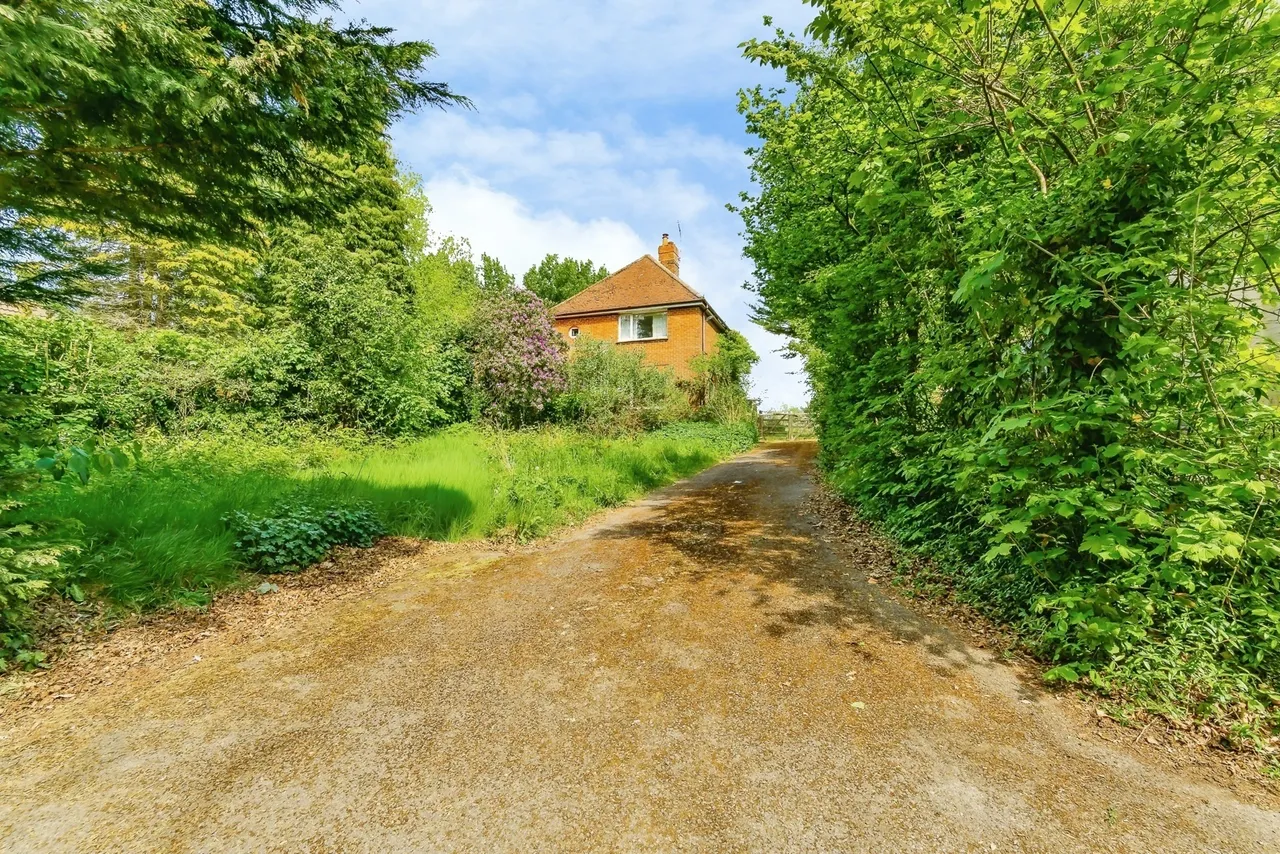 Main Road, Hadlow Down, TN22, photo 23