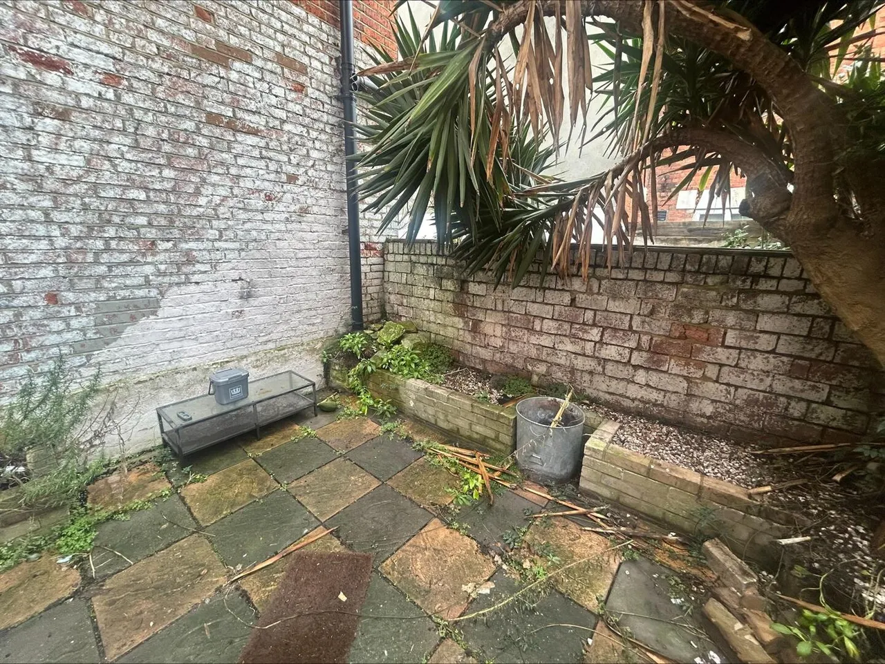 Manwood Road, London, photo 14
