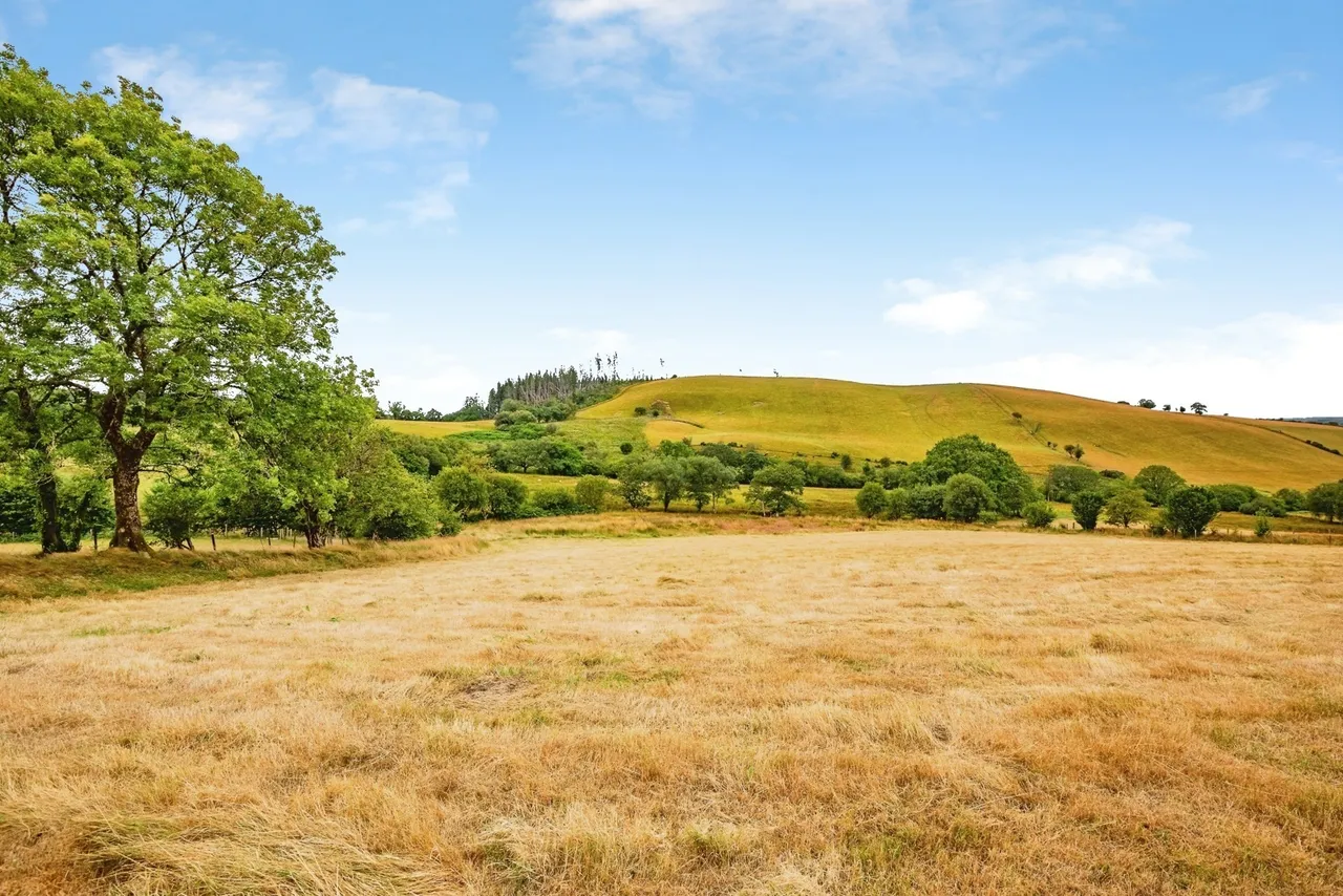 Ffarmers, Llanwrda, SA19, photo 36