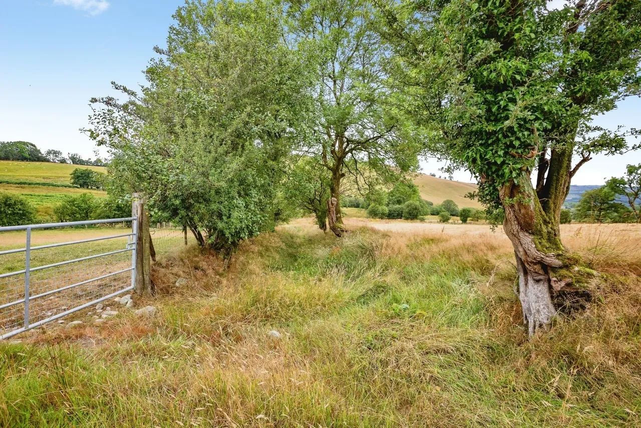 Ffarmers, Llanwrda, SA19, photo 30