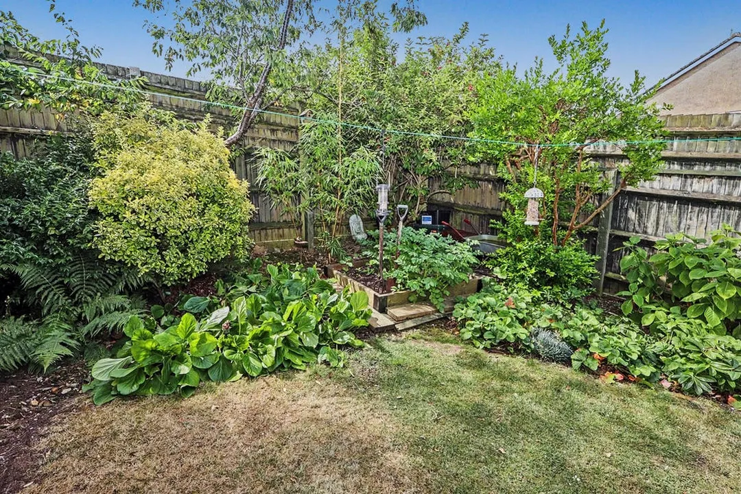 Golding Close, Wells, photo 11