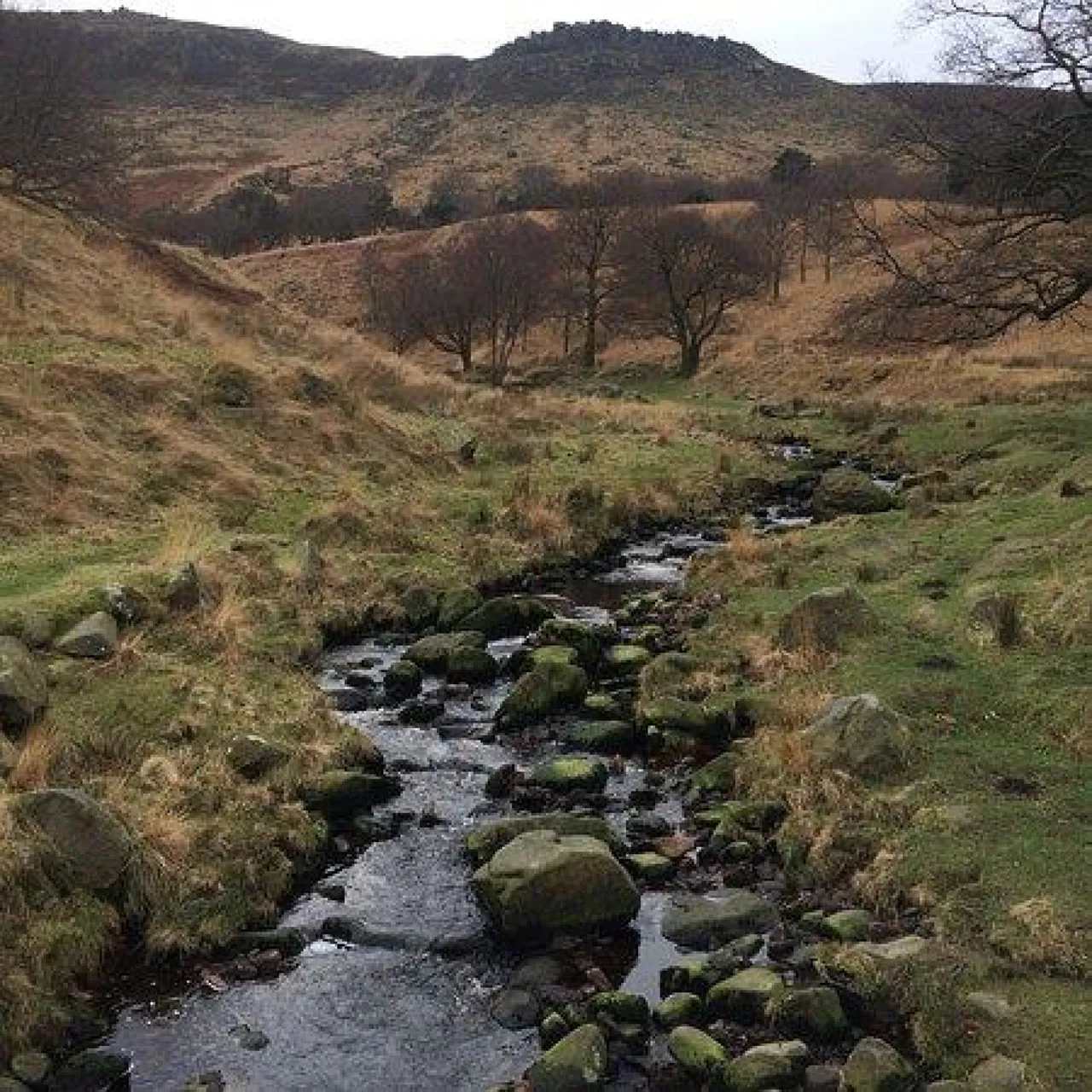 Chew Valley Road, Greenfield, OL3, photo 21