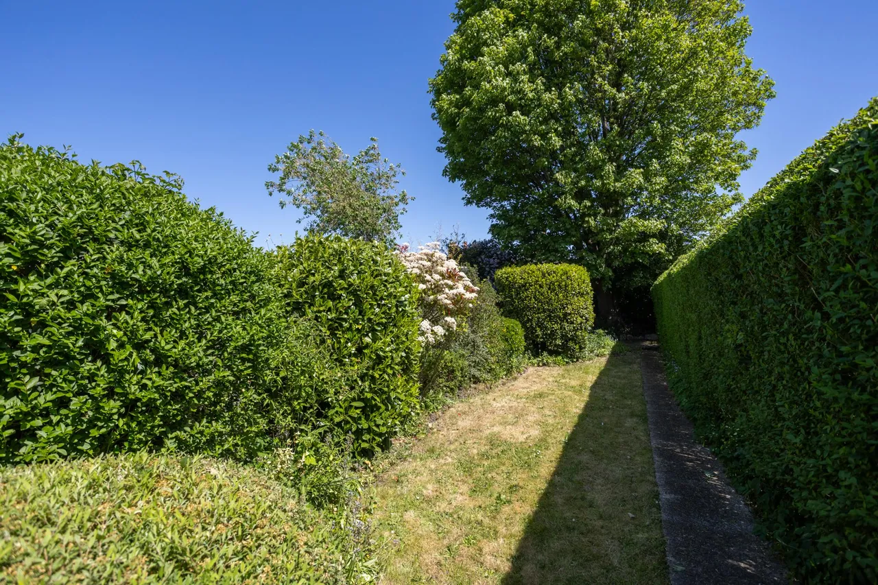 Albert Road, Horley, RH6, photo 15