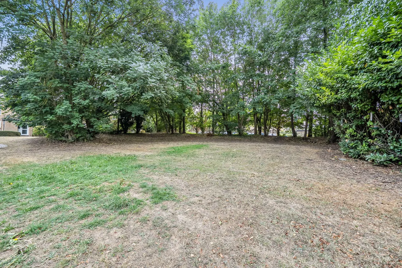 Chapel Wood, New Ash Green, DA3, photo 13