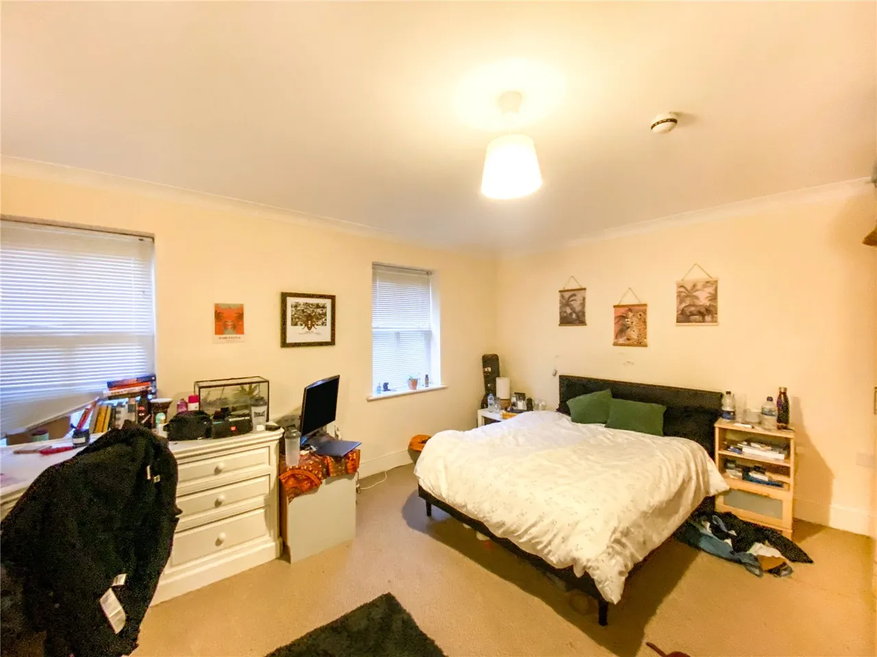 Schuster Road, Manchester, M14, photo 4