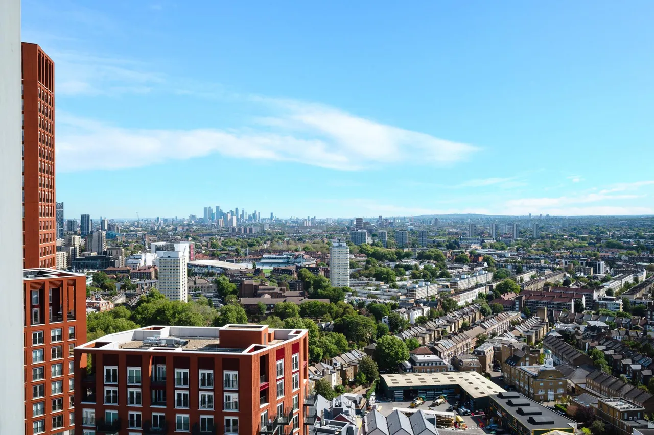 Sky Gardens, Nine Elms, SW8, photo 9