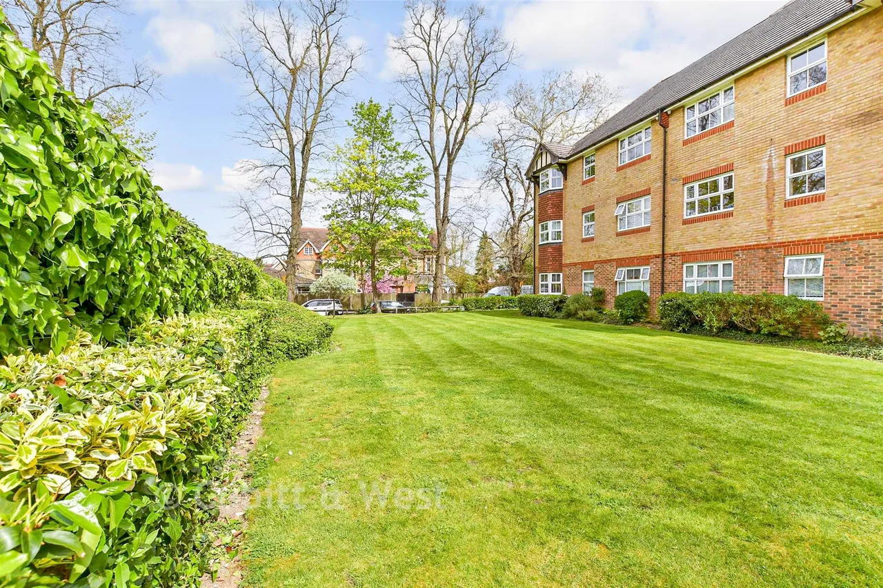 Pampisford Road, Purley, CR2, photo 17