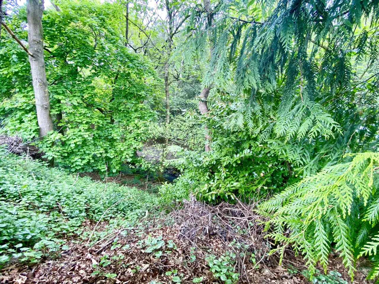 East Causeway Vale, Adel, LS16, photo 24