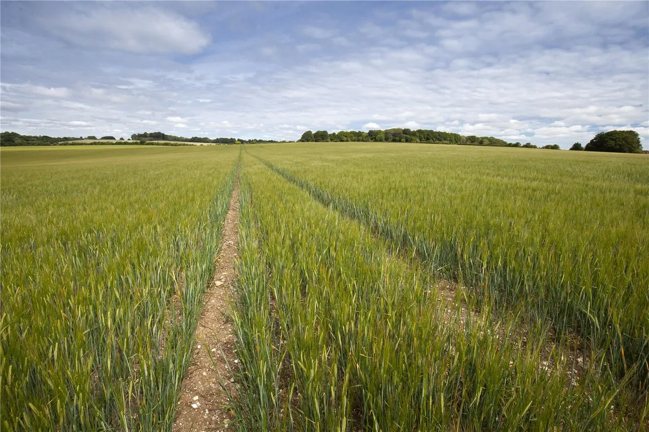 Land At Hookpit Farm, Kings Worthy, Winchester, Hampshire, SO21 2RR, photo 8