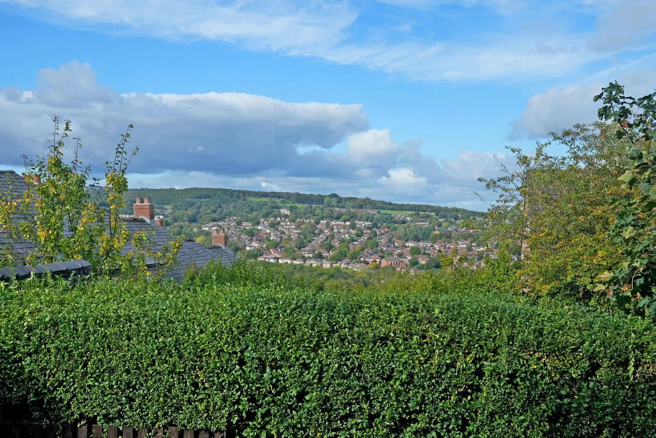Bell Hagg Road, Sheffield, S6, photo 9