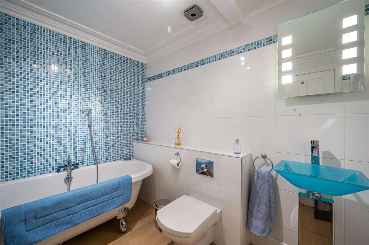 Julian Road, Bristol, BS9 1JZ, photo 9