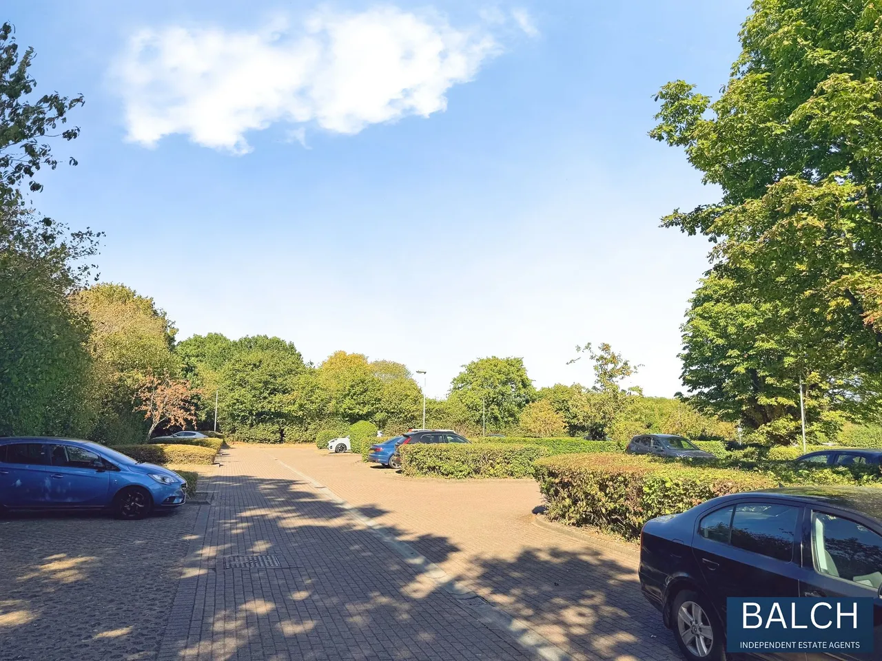 Melba Court, Writtle, CM1, photo 10