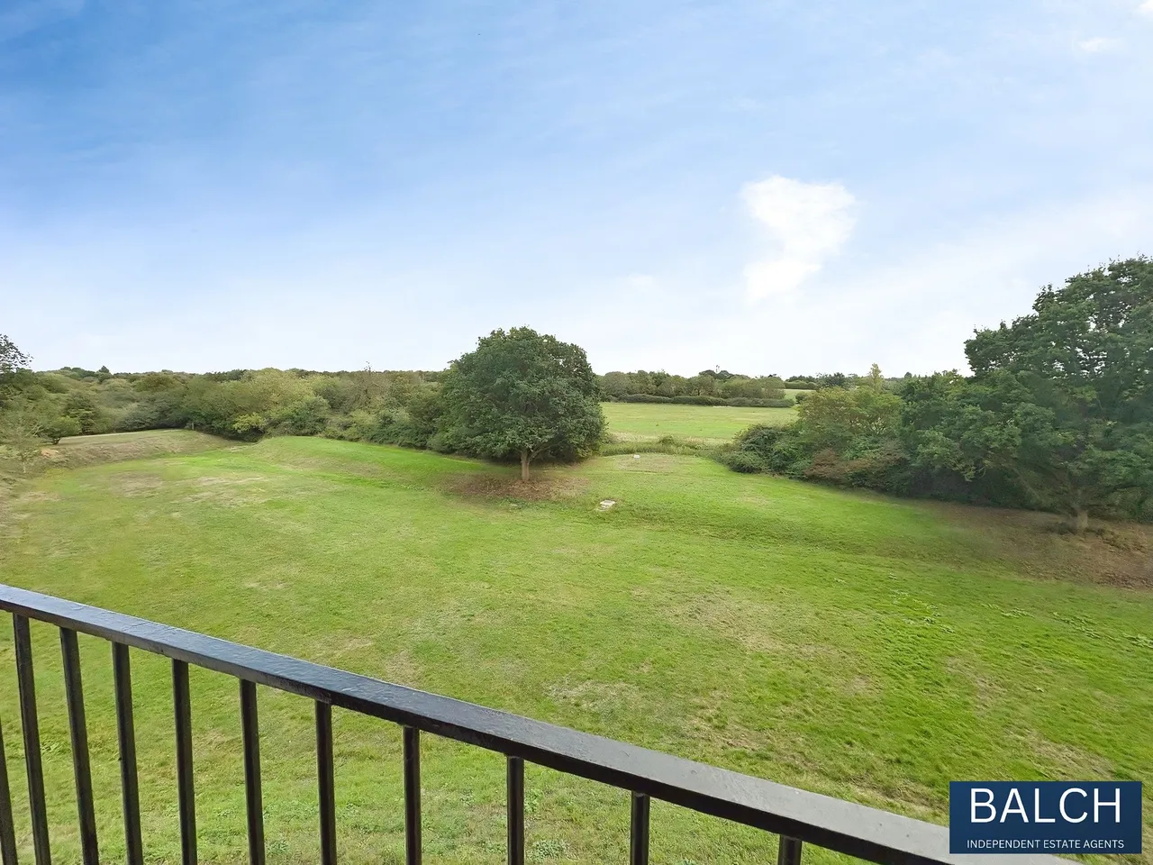 Melba Court, Writtle, CM1, photo 11