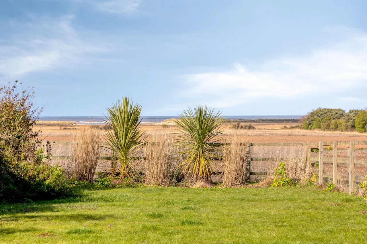 A Serene Retreat with Sunlit Gardens, photo 8