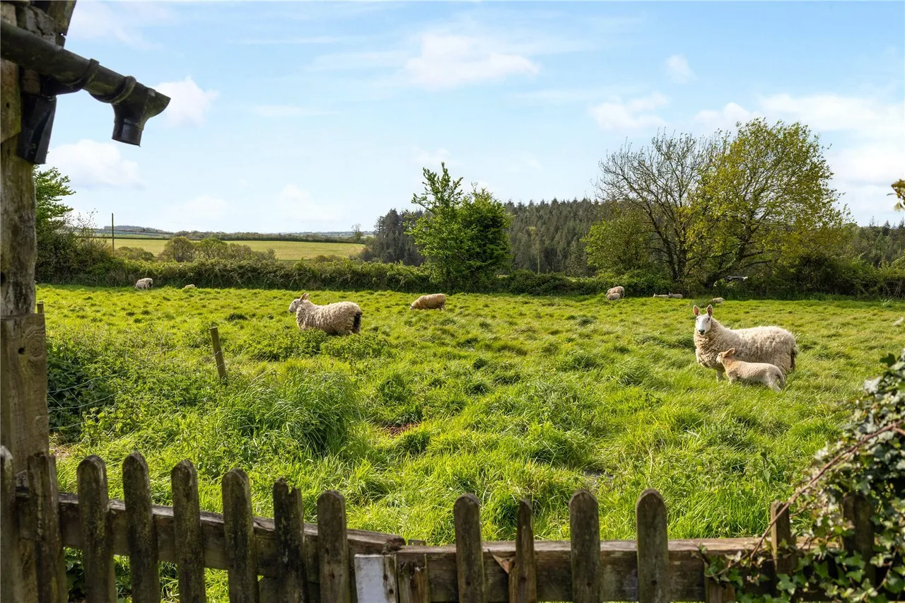 Chawleigh, Chulmleigh, EX18, photo 16