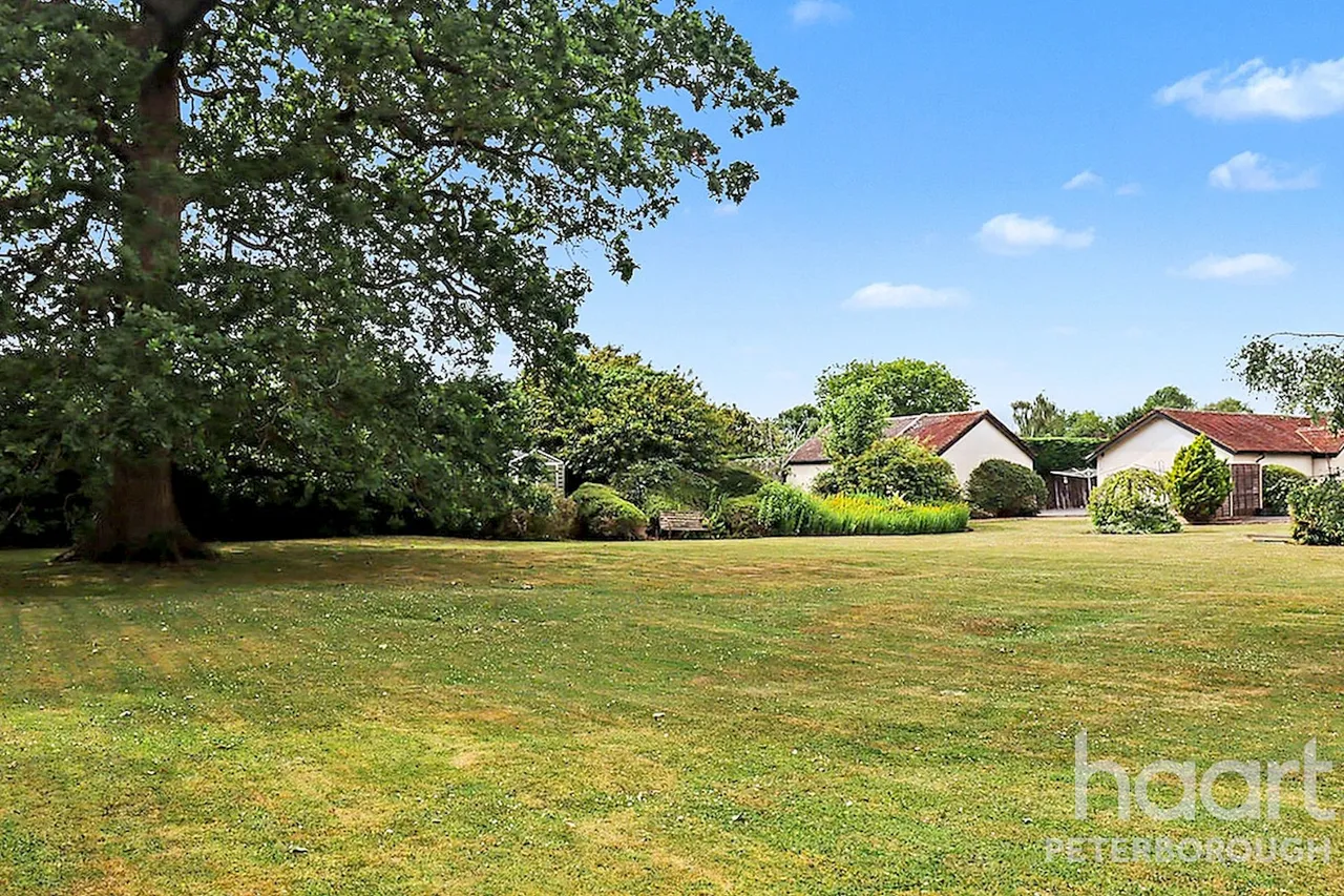 Loder Avenue, Peterborough, PE3, photo 15