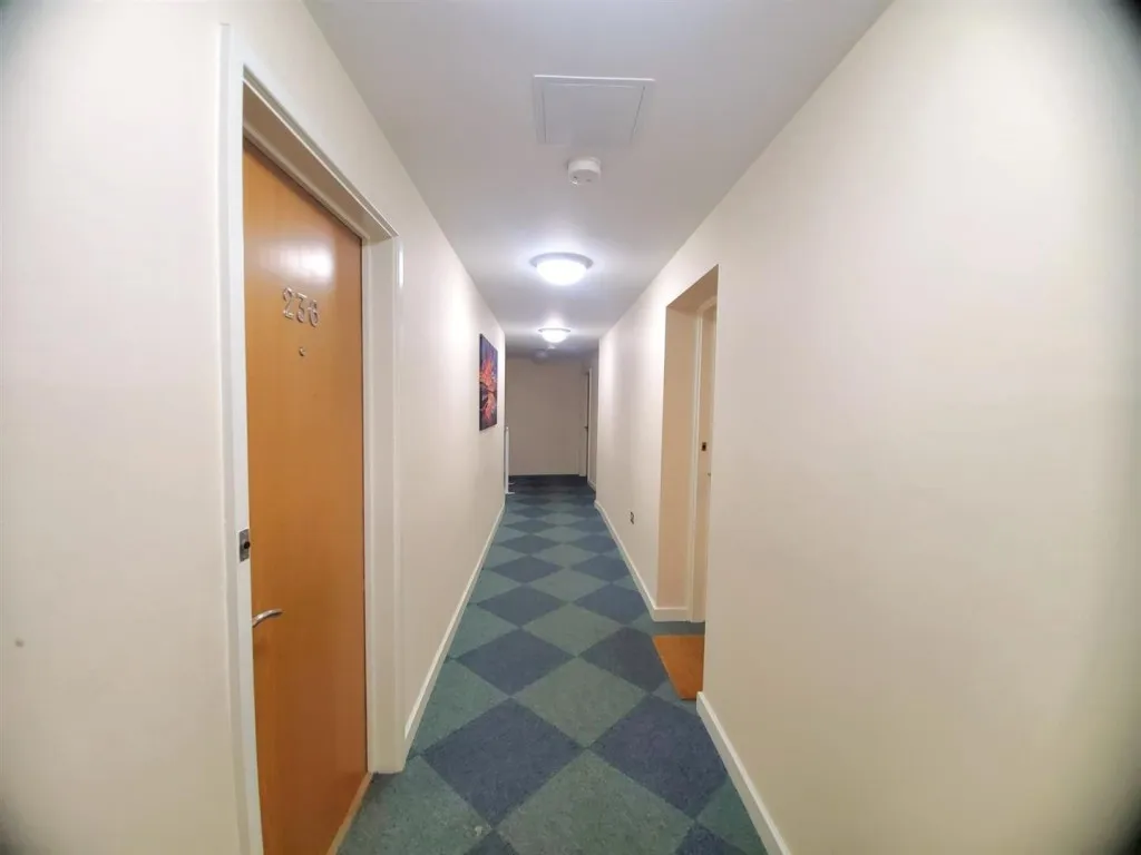 Elmwood Lane, Leeds City Centre, LS2, photo 14